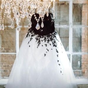 Darius Cordell Collection wedding dress